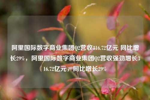 阿里国际数字商业集团Q2营收316.72亿元 同比增长29%，阿里国际数字商业集团Q2营收强劲增长316.72亿元，同比增长29%-第1张图片-体育新闻