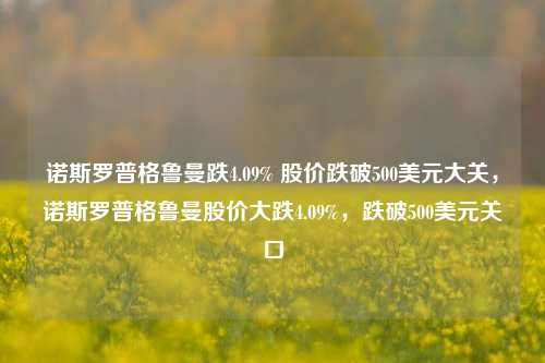 诺斯罗普格鲁曼跌4.09% 股价跌破500美元大关，诺斯罗普格鲁曼股价大跌4.09%，跌破500美元关口-第1张图片-体育新闻