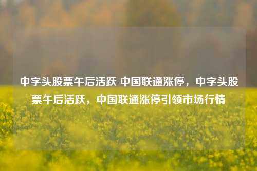 中字头股票午后活跃 中国联通涨停，中字头股票午后活跃，中国联通涨停引领市场行情-第1张图片-体育新闻