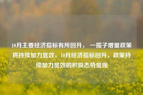 10月主要经济指标有所回升， 一揽子增量政策将持续加力显效，10月经济指标回升，政策持续加力显效的积极态势显现-第1张图片-体育新闻