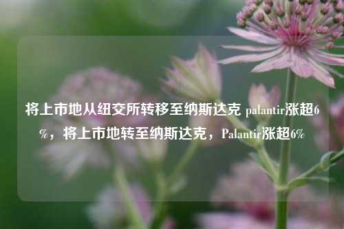 将上市地从纽交所转移至纳斯达克 palantir涨超6%，将上市地转至纳斯达克，Palantir涨超6%-第1张图片-体育新闻