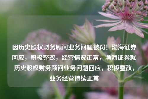 因历史股权财务顾问业务问题被罚！渤海证券回应，积极整改，经营情况正常，渤海证券就历史股权财务顾问业务问题回应，积极整改，业务经营持续正常-第1张图片-体育新闻