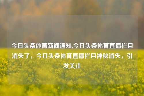 今日头条体育新闻通知,今日头条体育直播栏目消失了，今日头条体育直播栏目神秘消失，引发关注-第1张图片-体育新闻