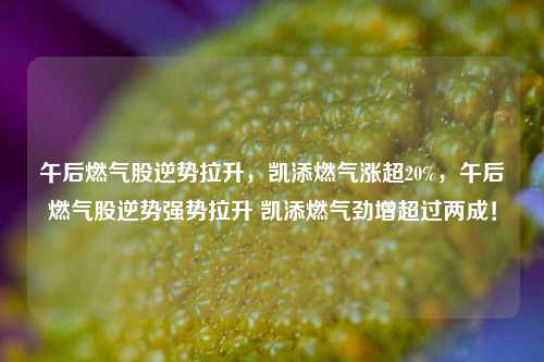 午后燃气股逆势拉升，凯添燃气涨超20%，午后燃气股逆势强势拉升 凯添燃气劲增超过两成！-第1张图片-体育新闻