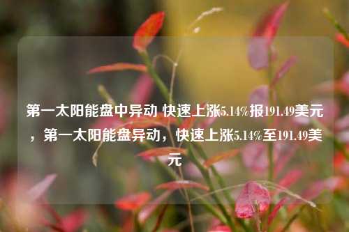 第一太阳能盘中异动 快速上涨5.14%报191.49美元，第一太阳能盘异动，快速上涨5.14%至191.49美元-第1张图片-体育新闻