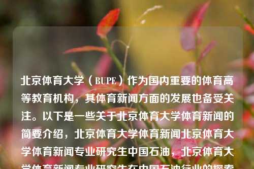 北京体育大学（BUPE）作为国内重要的体育高等教育机构，其体育新闻方面的发展也备受关注。以下是一些关于北京体育大学体育新闻的简要介绍，北京体育大学体育新闻北京体育大学体育新闻专业研究生中国石油，北京体育大学体育新闻专业研究生在中国石油行业的探索与发展，北京体育大学体育新闻专业研究生的探索与在体育领域结合石油行业的发展探讨-第1张图片-体育新闻