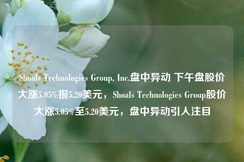 Shoals Technologies Group, Inc.盘中异动 下午盘股价大涨5.05%报5.20美元，Shoals Technologies Group股价大涨5.05%至5.20美元，盘中异动引人注目-第1张图片-体育新闻