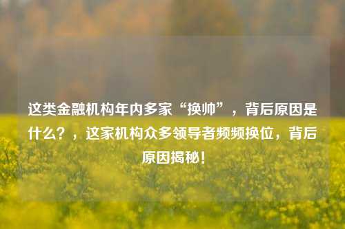 这类金融机构年内多家“换帅”，背后原因是什么？，这家机构众多领导者频频换位，背后原因揭秘！-第1张图片-体育新闻