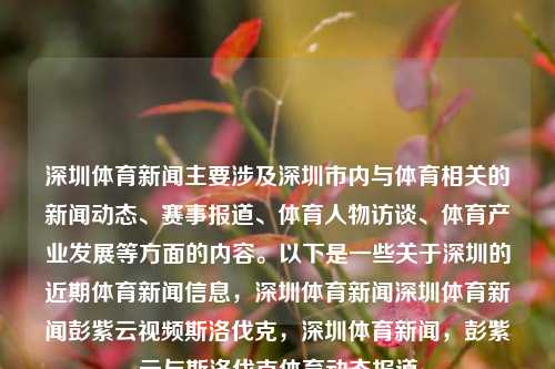 深圳体育新闻主要涉及深圳市内与体育相关的新闻动态、赛事报道、体育人物访谈、体育产业发展等方面的内容。以下是一些关于深圳的近期体育新闻信息，深圳体育新闻深圳体育新闻彭紫云视频斯洛伐克，深圳体育新闻，彭紫云与斯洛伐克体育动态报道，深圳体育新闻，彭紫云与斯洛伐克体育动态报道及体育产业发展概览-第1张图片-体育新闻