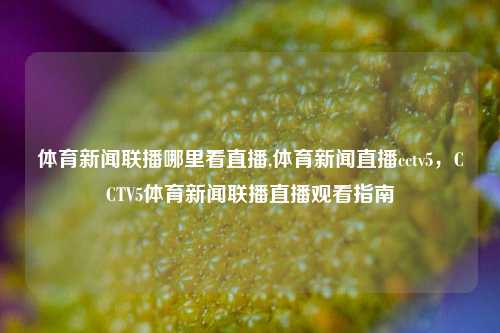 体育新闻联播哪里看直播,体育新闻直播cctv5，CCTV5体育新闻联播直播观看指南-第1张图片-体育新闻