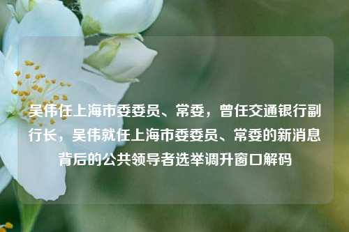 吴伟任上海市委委员、常委，曾任交通银行副行长，吴伟就任上海市委委员、常委的新消息背后的公共领导者选举调升窗口解码-第1张图片-体育新闻