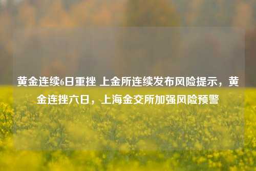 黄金连续6日重挫 上金所连续发布风险提示，黄金连挫六日，上海金交所加强风险预警-第1张图片-体育新闻