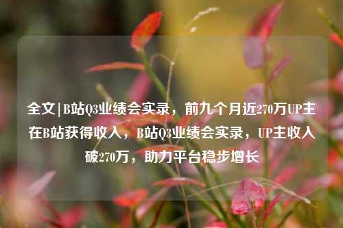 全文|B站Q3业绩会实录，前九个月近270万UP主在B站获得收入，B站Q3业绩会实录，UP主收入破270万，助力平台稳步增长-第1张图片-体育新闻