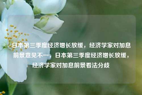 日本第三季度经济增长放缓，经济学家对加息前景意见不一，日本第三季度经济增长放缓，经济学家对加息前景看法分歧-第1张图片-体育新闻