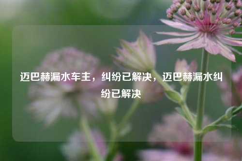 迈巴赫漏水车主，纠纷已解决，迈巴赫漏水纠纷已解决-第1张图片-体育新闻