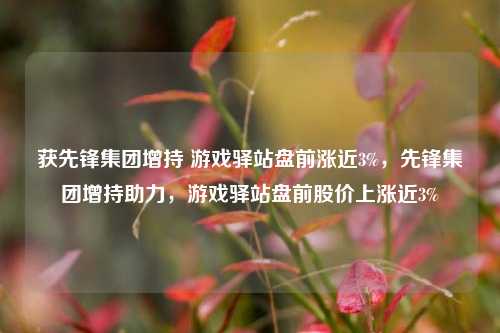 获先锋集团增持 游戏驿站盘前涨近3%，先锋集团增持助力，游戏驿站盘前股价上涨近3%-第1张图片-体育新闻