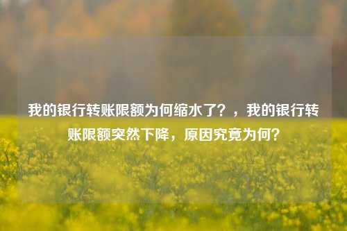 我的银行转账限额为何缩水了？，我的银行转账限额突然下降，原因究竟为何？-第1张图片-体育新闻