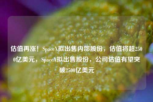 估值再涨！SpaceX拟出售内部股份，估值将超2500亿美元，SpaceX拟出售股份，公司估值有望突破2500亿美元-第1张图片-体育新闻