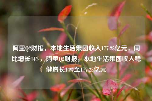 阿里Q2财报，本地生活集团收入177.25亿元，同比增长14%，阿里Q2财报，本地生活集团收入稳健增长14%至177.25亿元-第1张图片-体育新闻