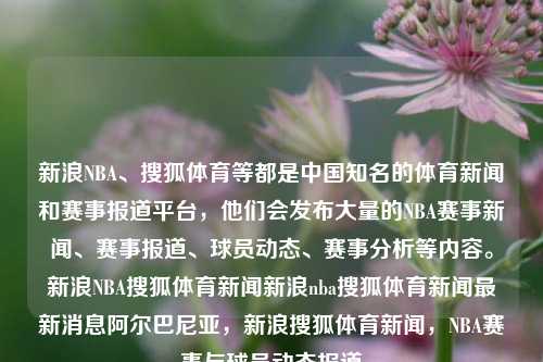 新浪NBA、搜狐体育等都是中国知名的体育新闻和赛事报道平台，他们会发布大量的NBA赛事新闻、赛事报道、球员动态、赛事分析等内容。新浪NBA搜狐体育新闻新浪nba搜狐体育新闻最新消息阿尔巴尼亚，新浪搜狐体育新闻，NBA赛事与球员动态报道，新浪搜狐体育新闻，NBA赛事与球员动态报道集锦-第1张图片-体育新闻