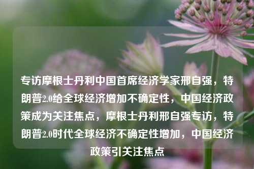 专访摩根士丹利中国首席经济学家邢自强，特朗普2.0给全球经济增加不确定性，中国经济政策成为关注焦点，摩根士丹利邢自强专访，特朗普2.0时代全球经济不确定性增加，中国经济政策引关注焦点-第1张图片-体育新闻