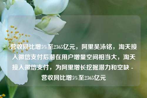 营收同比增5%至2365亿元，阿里吴泳铭，淘天接入微信支付后潜在用户增量空间相当大，淘天接入微信支付，为阿里增长挖掘潜力和空缺 - 营收同比增5%至2365亿元-第1张图片-体育新闻