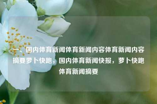 一、国内体育新闻体育新闻内容体育新闻内容摘要萝卜快跑，国内体育新闻快报，萝卜快跑体育新闻摘要，国内体育新闻快报，萝卜快跑体育新闻摘要-第1张图片-体育新闻