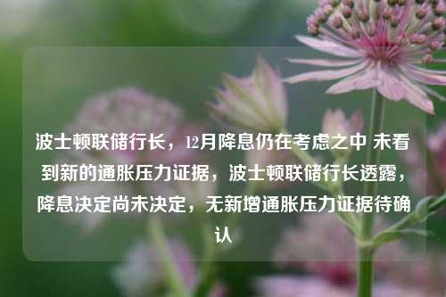 波士顿联储行长，12月降息仍在考虑之中 未看到新的通胀压力证据，波士顿联储行长透露，降息决定尚未决定，无新增通胀压力证据待确认-第1张图片-体育新闻