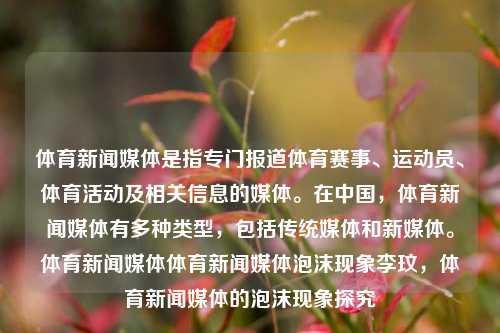 体育新闻媒体是指专门报道体育赛事、运动员、体育活动及相关信息的媒体。在中国，体育新闻媒体有多种类型，包括传统媒体和新媒体。体育新闻媒体体育新闻媒体泡沫现象李玟，体育新闻媒体的泡沫现象探究，体育新闻媒体泡沫现象的探究-第1张图片-体育新闻