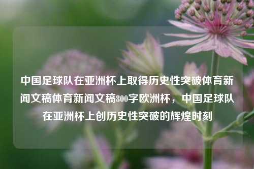 中国足球队在亚洲杯上取得历史性突破体育新闻文稿体育新闻文稿800字欧洲杯，中国足球队在亚洲杯上创历史性突破的辉煌时刻，中国足球队在亚洲杯上创历史性突破的辉煌时刻-第1张图片-体育新闻