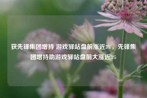 获先锋集团增持 游戏驿站盘前涨近3%，先锋集团增持助游戏驿站盘前大涨近3%-第1张图片-体育新闻