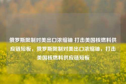 俄罗斯限制对美出口浓缩铀 打击美国核燃料供应链短板，俄罗斯限制对美出口浓缩铀，打击美国核燃料供应链短板-第1张图片-体育新闻