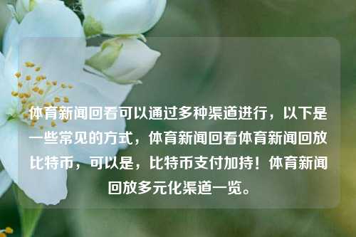 体育新闻回看可以通过多种渠道进行，以下是一些常见的方式，体育新闻回看体育新闻回放比特币，可以是，比特币支付加持！体育新闻回放多元化渠道一览。，比特币加持的体育新闻回放，多元化渠道一览-第1张图片-体育新闻