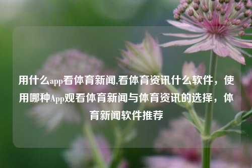 用什么app看体育新闻,看体育资讯什么软件，使用哪种App观看体育新闻与体育资讯的选择，体育新闻软件推荐-第1张图片-体育新闻