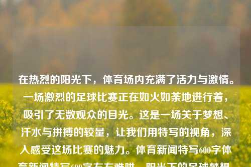 在热烈的阳光下，体育场内充满了活力与激情。一场激烈的足球比赛正在如火如荼地进行着，吸引了无数观众的目光。这是一场关于梦想、汗水与拼搏的较量，让我们用特写的视角，深入感受这场比赛的魅力。体育新闻特写600字体育新闻特写600字左右难哄，阳光下的足球梦想，激情与拼搏的较量，阳光下的足球梦想，激情与拼搏的较量在体育场内展开-第1张图片-体育新闻