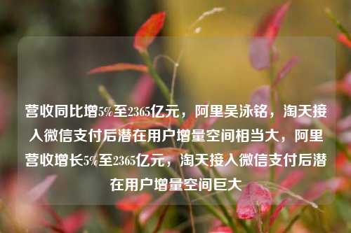 营收同比增5%至2365亿元，阿里吴泳铭，淘天接入微信支付后潜在用户增量空间相当大，阿里营收增长5%至2365亿元，淘天接入微信支付后潜在用户增量空间巨大-第1张图片-体育新闻