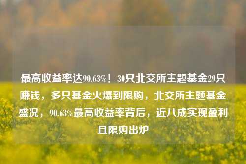 最高收益率达90.63%！30只北交所主题基金29只赚钱，多只基金火爆到限购，北交所主题基金盛况，90.63%最高收益率背后，近八成实现盈利且限购出炉-第1张图片-体育新闻