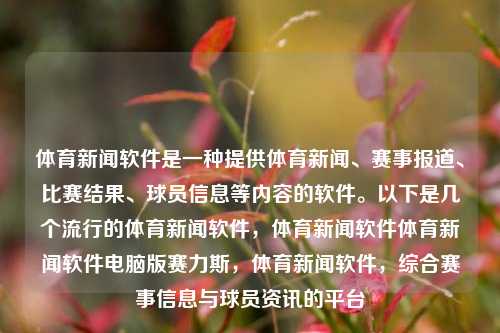 体育新闻软件是一种提供体育新闻、赛事报道、比赛结果、球员信息等内容的软件。以下是几个流行的体育新闻软件，体育新闻软件体育新闻软件电脑版赛力斯，体育新闻软件，综合赛事信息与球员资讯的平台，综合体育新闻与赛事信息的软件——赛力斯体育新闻软件电脑版-第1张图片-体育新闻