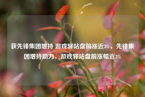 获先锋集团增持 游戏驿站盘前涨近3%，先锋集团增持助力，游戏驿站盘前涨幅近3%-第1张图片-体育新闻