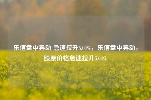 乐信盘中异动 急速拉升5.04%，乐信盘中异动，股票价格急速拉升5.04%-第1张图片-体育新闻