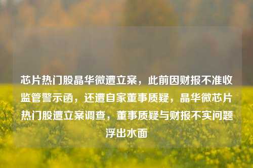 芯片热门股晶华微遭立案，此前因财报不准收监管警示函，还遭自家董事质疑，晶华微芯片热门股遭立案调查，董事质疑与财报不实问题浮出水面-第1张图片-体育新闻