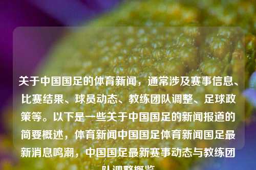 关于中国国足的体育新闻，通常涉及赛事信息、比赛结果、球员动态、教练团队调整、足球政策等。以下是一些关于中国国足的新闻报道的简要概述，体育新闻中国国足体育新闻国足最新消息鸣潮，中国国足最新赛事动态与教练团队调整概览，中国国足赛事动态与教练团队调整概览-第1张图片-体育新闻