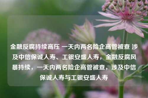 金融反腐持续高压 一天内两名险企高管被查 涉及中信保诚人寿、工银安盛人寿，金融反腐风暴持续，一天内两名险企高管被查，涉及中信保诚人寿与工银安盛人寿-第1张图片-体育新闻