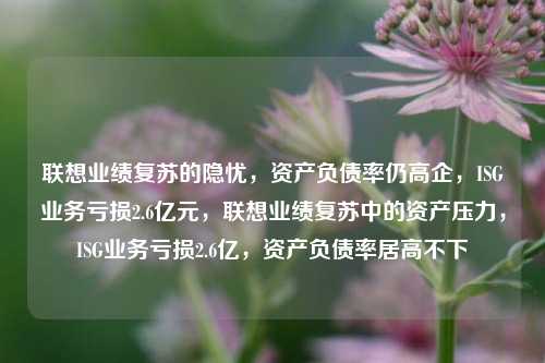 联想业绩复苏的隐忧，资产负债率仍高企，ISG业务亏损2.6亿元，联想业绩复苏中的资产压力，ISG业务亏损2.6亿，资产负债率居高不下-第1张图片-体育新闻