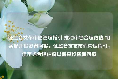 证监会发布市值管理指引 推动市场合理估值 切实提升投资者回报，证监会发布市值管理指引，促市场合理估值以提高投资者回报-第1张图片-体育新闻