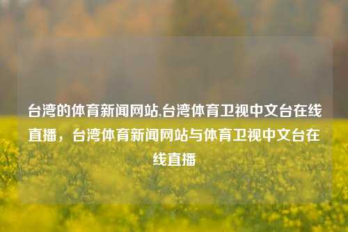 台湾的体育新闻网站,台湾体育卫视中文台在线直播，台湾体育新闻网站与体育卫视中文台在线直播-第1张图片-体育新闻