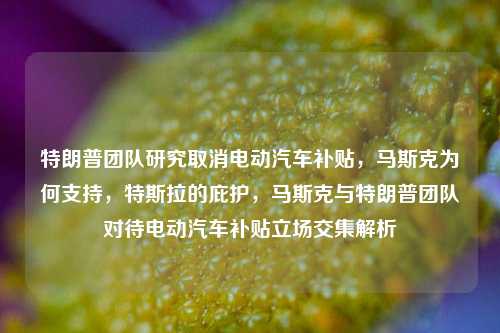 特朗普团队研究取消电动汽车补贴，马斯克为何支持，特斯拉的庇护，马斯克与特朗普团队对待电动汽车补贴立场交集解析-第1张图片-体育新闻