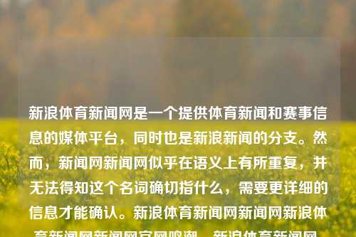 新浪体育新闻网是一个提供体育新闻和赛事信息的媒体平台，同时也是新浪新闻的分支。然而，新闻网新闻网似乎在语义上有所重复，并无法得知这个名词确切指什么，需要更详细的信息才能确认。新浪体育新闻网新闻网新浪体育新闻网新闻网官网鸣潮，新浪体育新闻网，新浪新闻体育板块的官方平台，新浪体育新闻官方平台-第1张图片-体育新闻