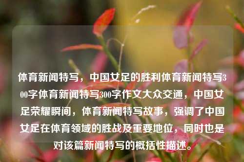 体育新闻特写，中国女足的胜利体育新闻特写300字体育新闻特写300字作文大众交通，中国女足荣耀瞬间，体育新闻特写故事，强调了中国女足在体育领域的胜战及重要地位，同时也是对该篇新闻特写的概括性描述。，中国女足的荣耀瞬间，体育新闻特写胜利纪实-第1张图片-体育新闻