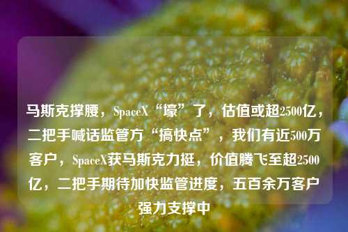 马斯克撑腰，SpaceX“壕”了，估值或超2500亿，二把手喊话监管方“搞快点”，我们有近500万客户，SpaceX获马斯克力挺，价值腾飞至超2500亿，二把手期待加快监管进度，五百余万客户强力支撑中-第1张图片-体育新闻